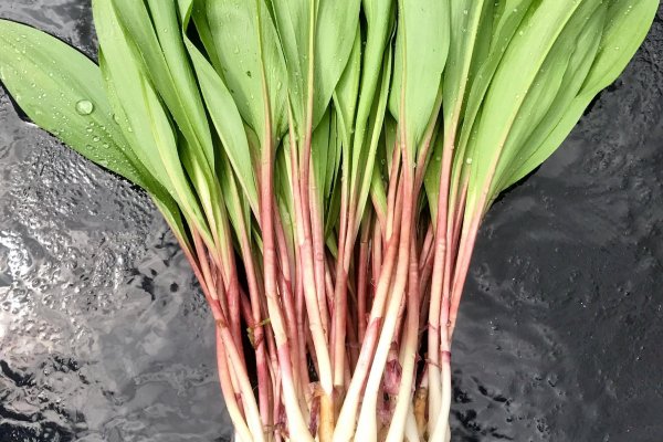 Кракен 12at сайт