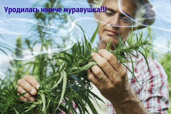 Что такое кракен плейс