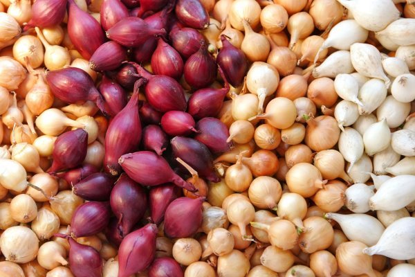 Кракен тор kr2web in