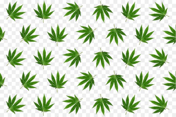 Kraken сайт kraken torion