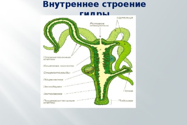 Как зарегистрироваться на кракене из россии