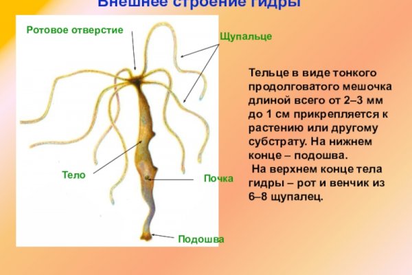 Кракен зеркало на тор