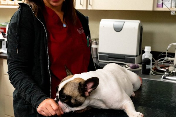 Кракен сайт kr2web in