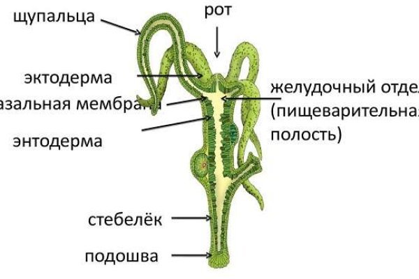 Кракен ссылка тор kr2web in