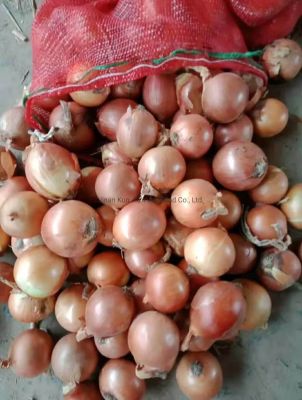 Кракен даркнет плейс