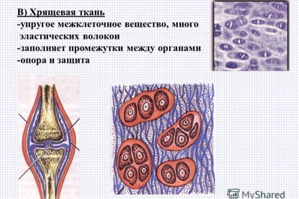 Магазины с наркотиками