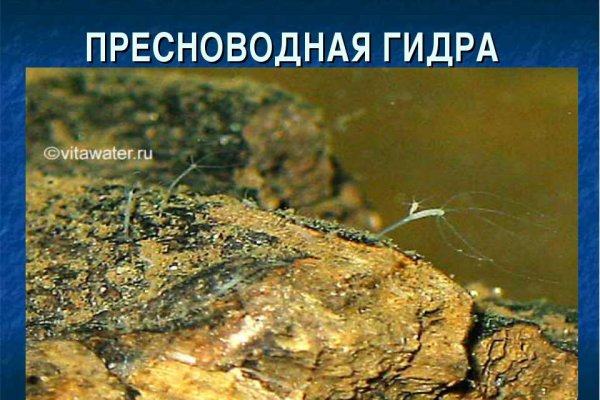 Кракен тор kraken dark