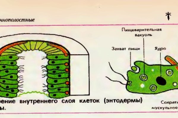 Кракен новый маркетплейс